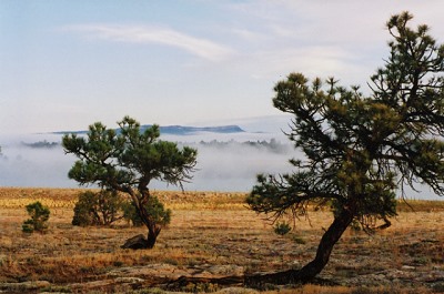 Above the fog in Northern New Mexico.