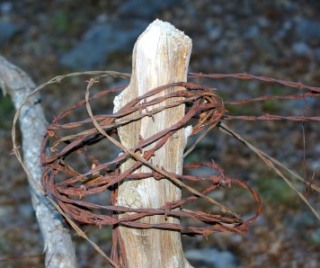 bobwire wrapped around a fense post