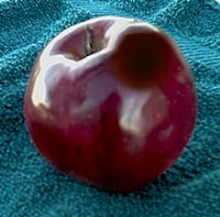 Bruised Apple
