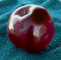 bruised apple