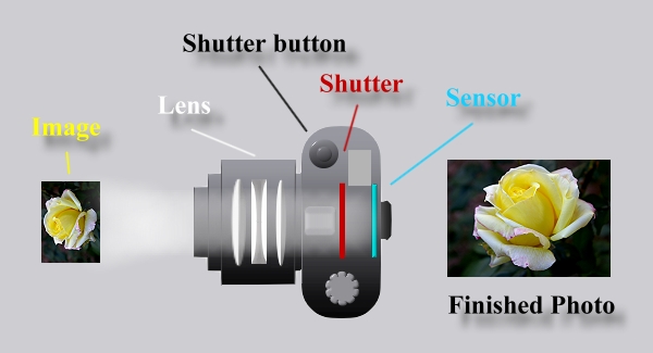 Diagram for a digital camera