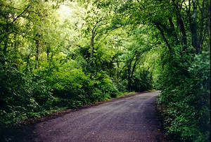 A covered road near Austin, Texas