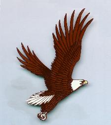 eagle in flight