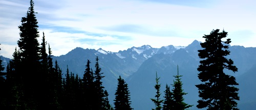 Hurrican Ridge