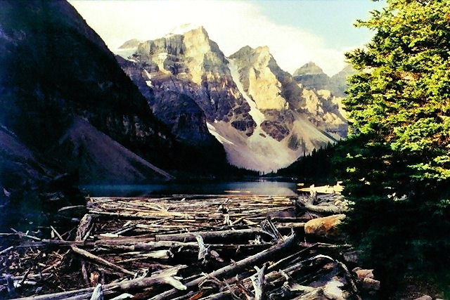 Log jam on Moraine Lake, Canada