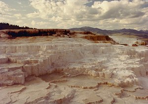 Mammoth Hot Springs / Yellowstong National Park