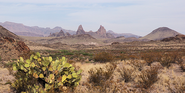 Mule Ears in Big Bend Nat. Park