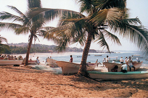Near Puerto Escondido