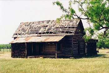 shingless house