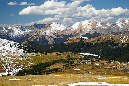 Scene From Trail Ridge Road